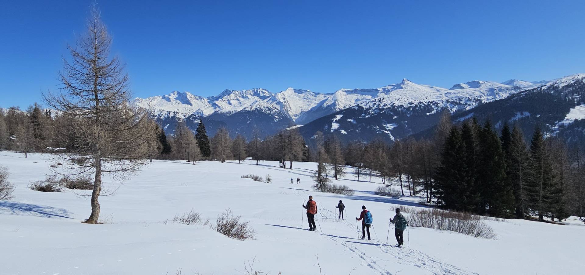 Geführte Schneeschuherlebnis in Tirol Schneeschuhwandern mit Wanderführer in Tirol