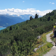 Angenehme Panoramawege bei der Weitwanderwoche König Ortler erblicken in Südtirol